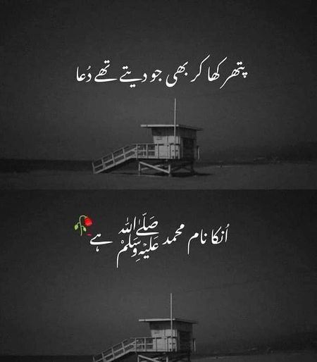 Islamic Quotes image