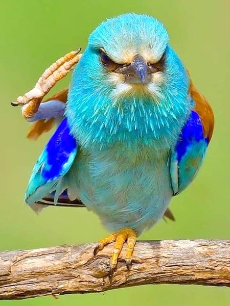 Beautiful Nature image