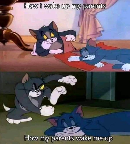 Memes & Satire image