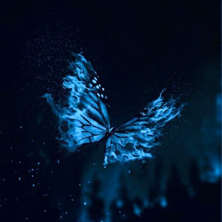 Beautiful Nature image