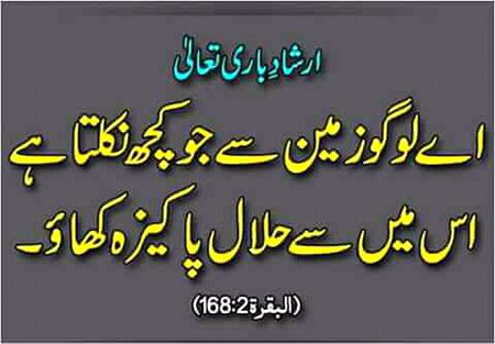 BAYSHAK
