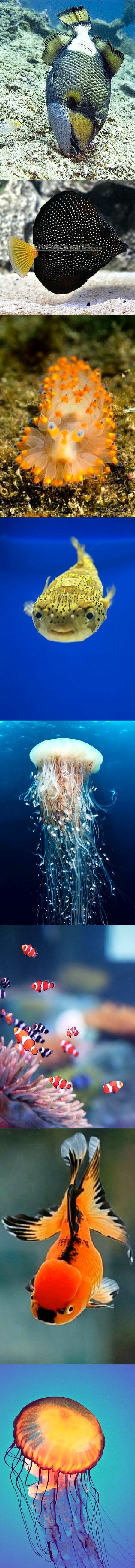 Beautiful Nature image