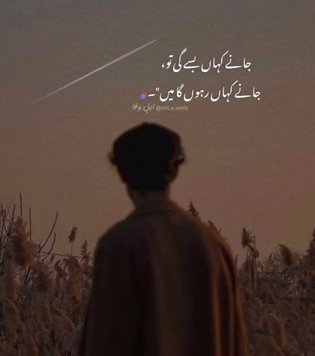 Lines💗