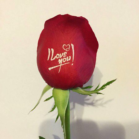 Beautiful Nature image