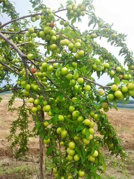 Beautiful Nature image