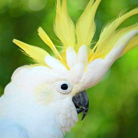 Beautiful Nature image