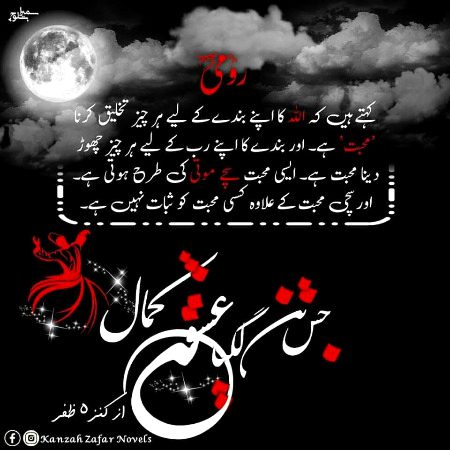 Romantic Novels image