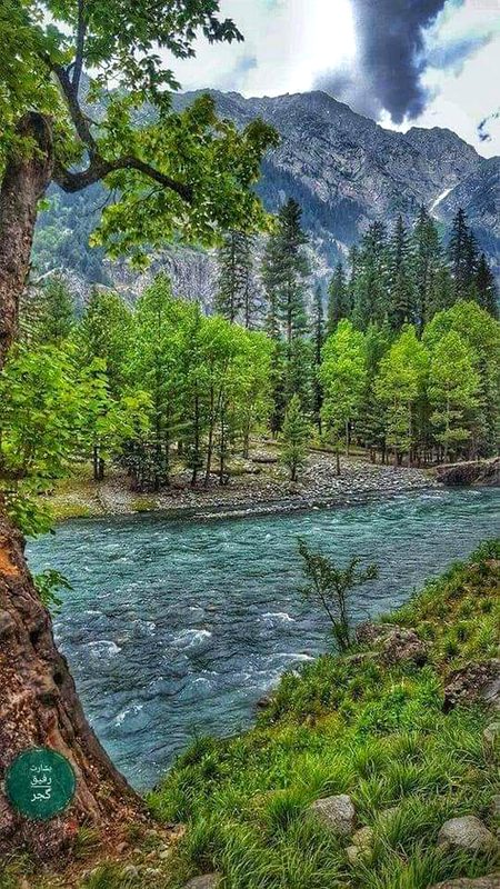 Beautiful Nature image