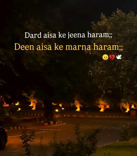 ......🥀......