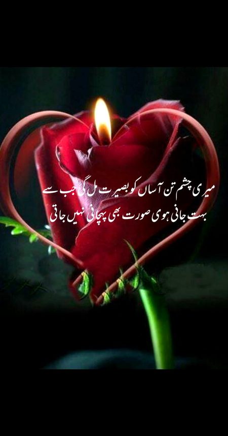 🌹 merijan-16 🌹