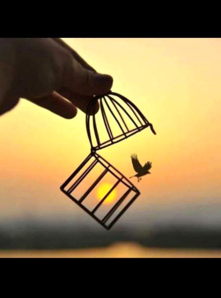 Beautiful Nature image