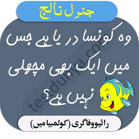 Knowledge Test image