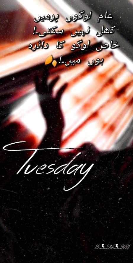 Attitude Poetry image