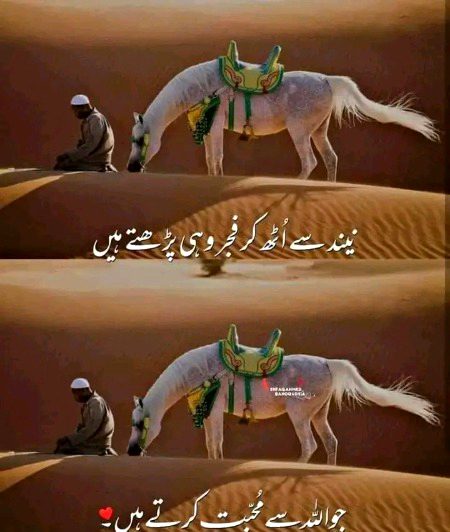 Islamic Quotes image