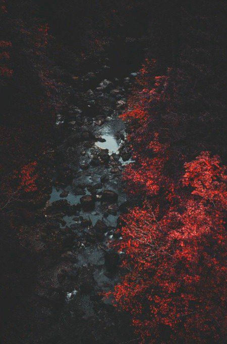 Beautiful Nature image