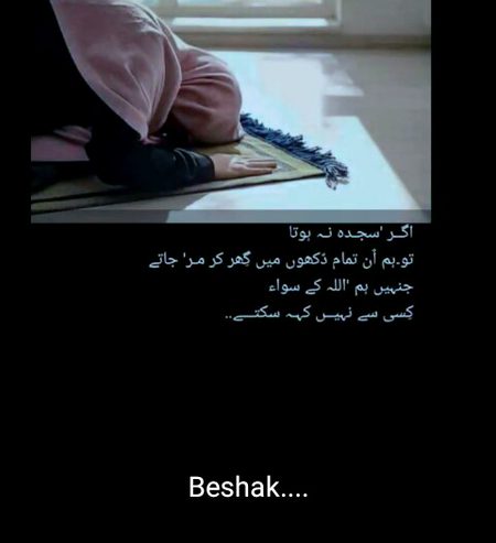 Bilkul 😥😥😥