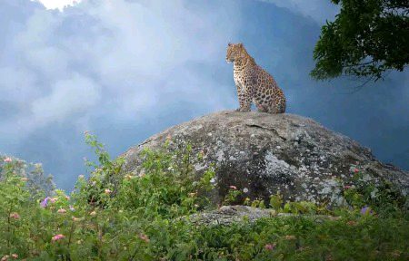 Beautiful Nature image