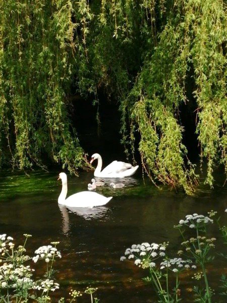 Beautiful Nature image