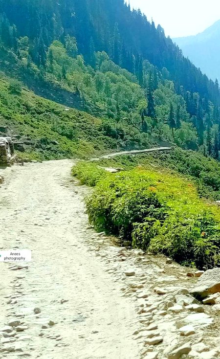 Beutiful Ratti Gali track. Dowaria. Neelam Velley AJK.
BEUTIFUL PAKISTAN
PEACEFUL PAKISTAN 🇵🇰❤️
