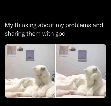 Memes & Satire image
