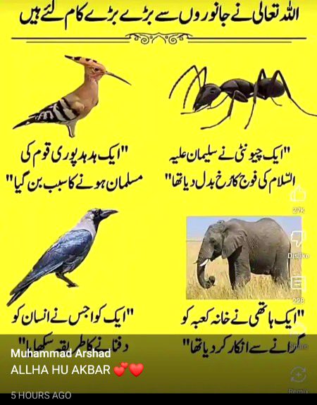 Allah pak ki shan