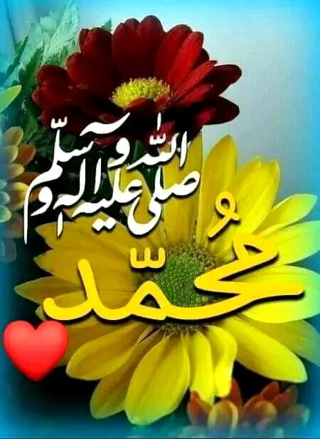 Islamic Quotes image