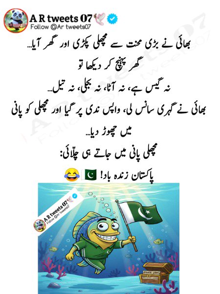 Memes & Satire image