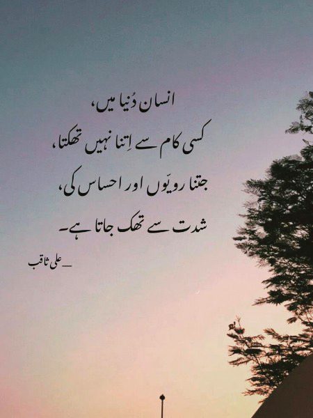 No Caption 🔥🔥🔥