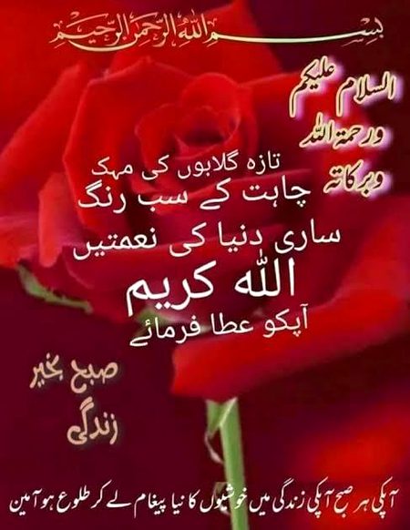 اس زندگی میں خوشی اور غم دونوں ہی ساتھ ساتھ ہیں، لیکن ہم یہ بھول جاتے ہیں اور اس دنیا میں صرف خوشی پانا چاہتے ہیں.اور یہ اللہ کا نظام نہیں ہے.. اللہ اس دنیا میں خوشی اور غم دے کر ہمارا امتحان لیتا ہے اور یہ جاننا چاہتا ہے کہ کون. جنت میں جانے کے قابل ہے... لیکن افسوس ہم اس نظام کو بھول کر دنیا کو جنت بنانا چاہتے ہیں اور جب وہ بنتی نہیں تو ڈیپریشن کا شکار ہو جاتے ہیں... *ڈیپریشن کا واحد حل شکر ادا کرنے میں ہے*