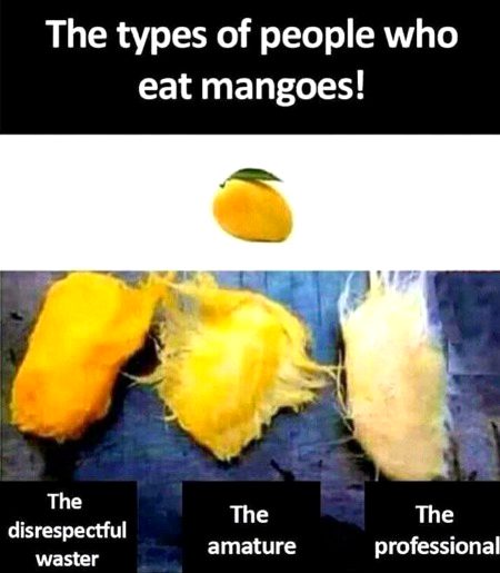 Memes & Satire image