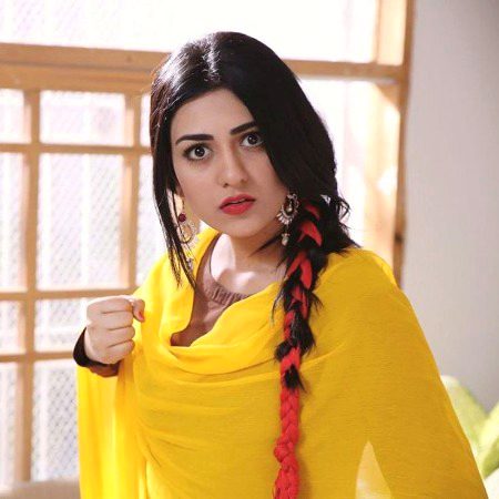 Pakistani Celebs image