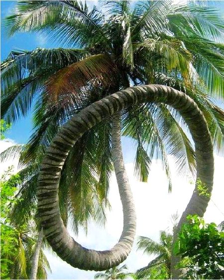 Beautiful Nature image