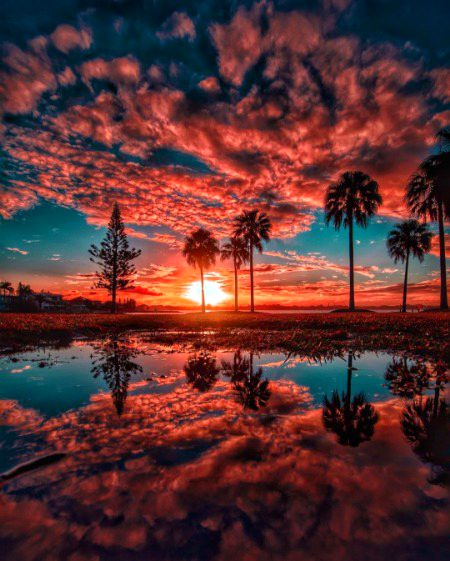 𝑻𝒉𝒆 𝒔𝒖𝒏𝒔𝒆𝒕 𝒔𝒌𝒚 𝒔𝒑𝒆𝒂𝒌𝒔 𝒂 𝒕𝒉𝒐𝒖𝒔𝒂𝒏𝒅 𝒘𝒐𝒓𝒅𝒔. 🌅🌤️🎨
💐(𝐶𝑙𝑒𝑣𝑒𝑙𝑎𝑛𝑑, 𝑄𝑢𝑒𝑒𝑛𝑠𝑙𝑎𝑛𝑑, 𝐴𝑢𝑠𝑡𝑟𝑎𝑙𝑖𝑎)