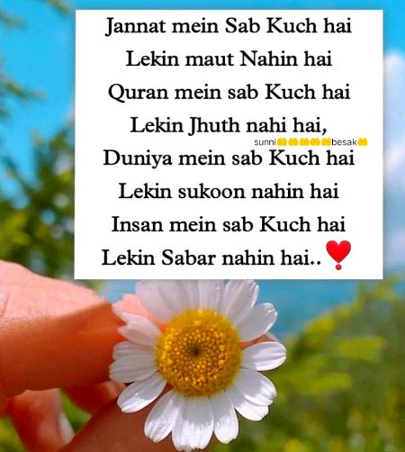 Right...iski cat btado koi