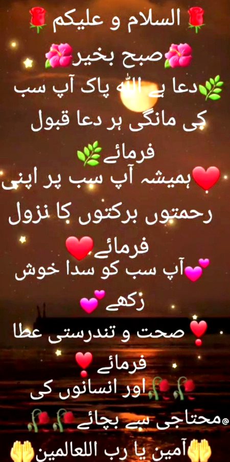 Assalam o Alaikum 💞🌹