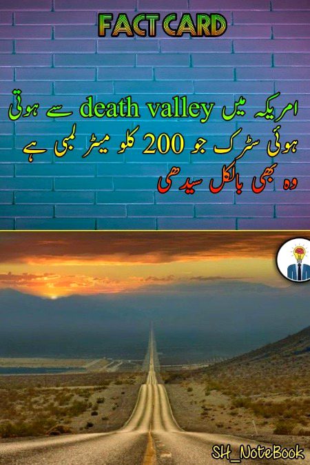 Interesting Posts image