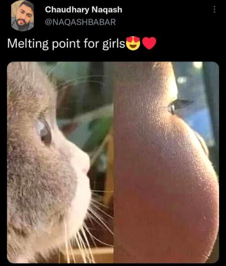 Memes & Satire image