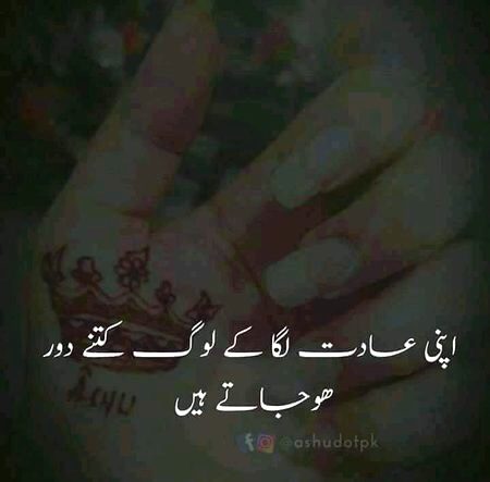 Nice Lines🙌