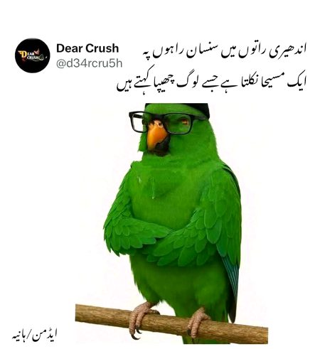 Azil sharing