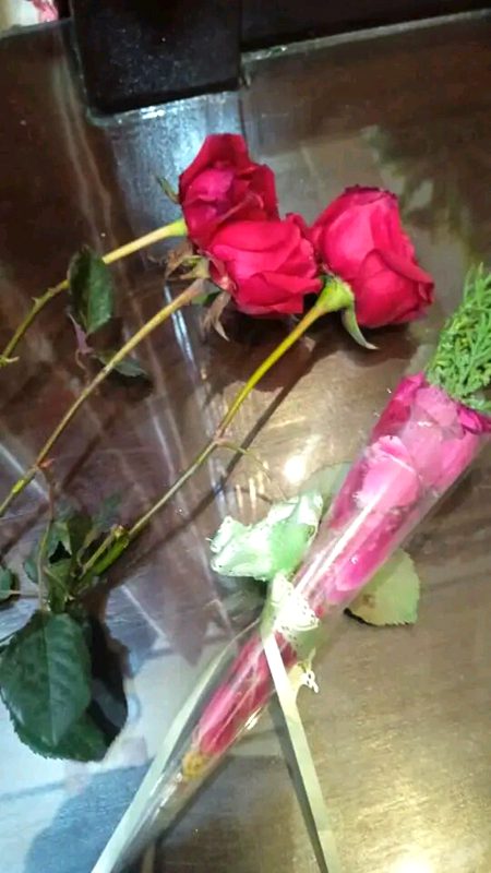 Beautiful Nature image