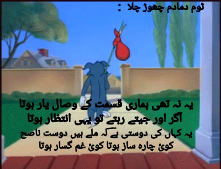 Memes & Satire image