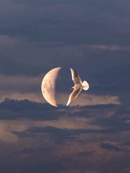 Beautiful Nature image