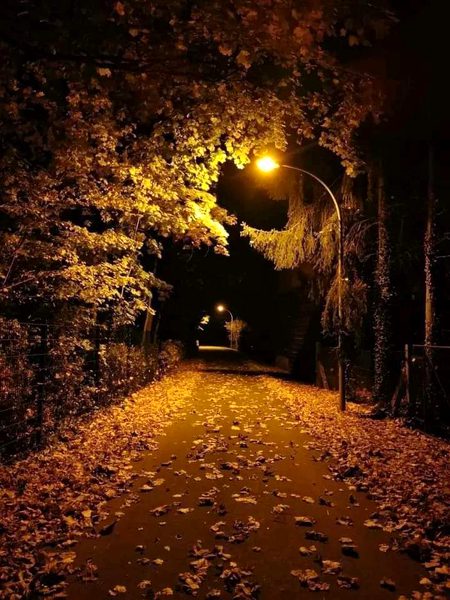 Beautiful Nature image