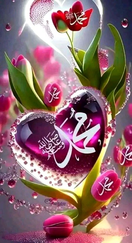 Islamic Quotes image