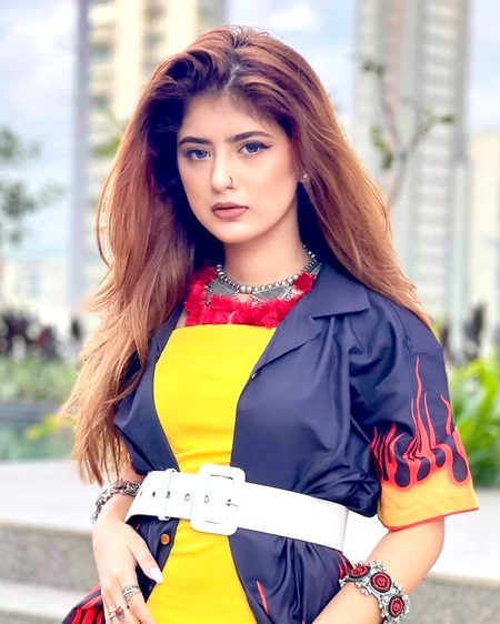 TikTok Stars image