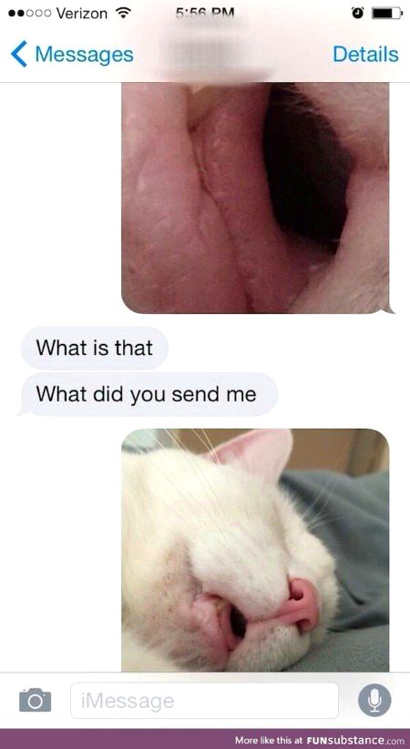 Memes & Satire image