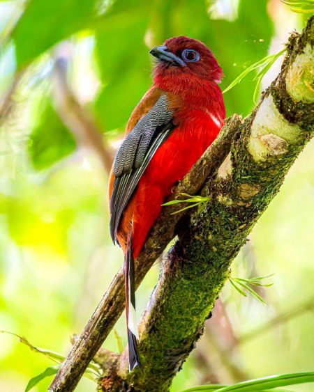 Beautiful Nature image