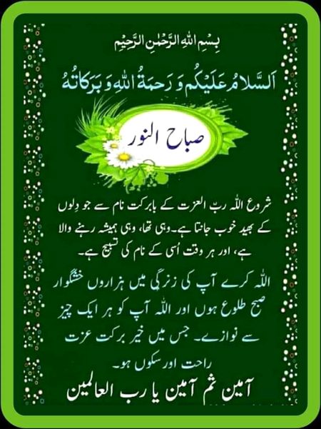 Aalam mulkum all🌹🌹🌹🌹