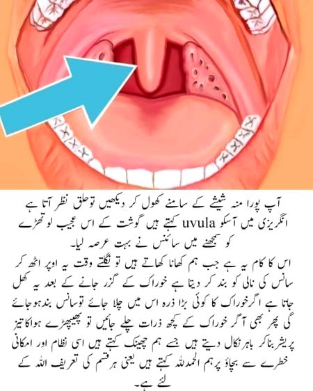 Interesting Posts image