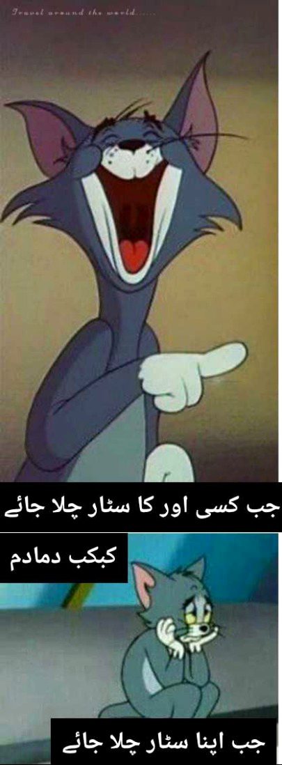 Damadam Roasting image